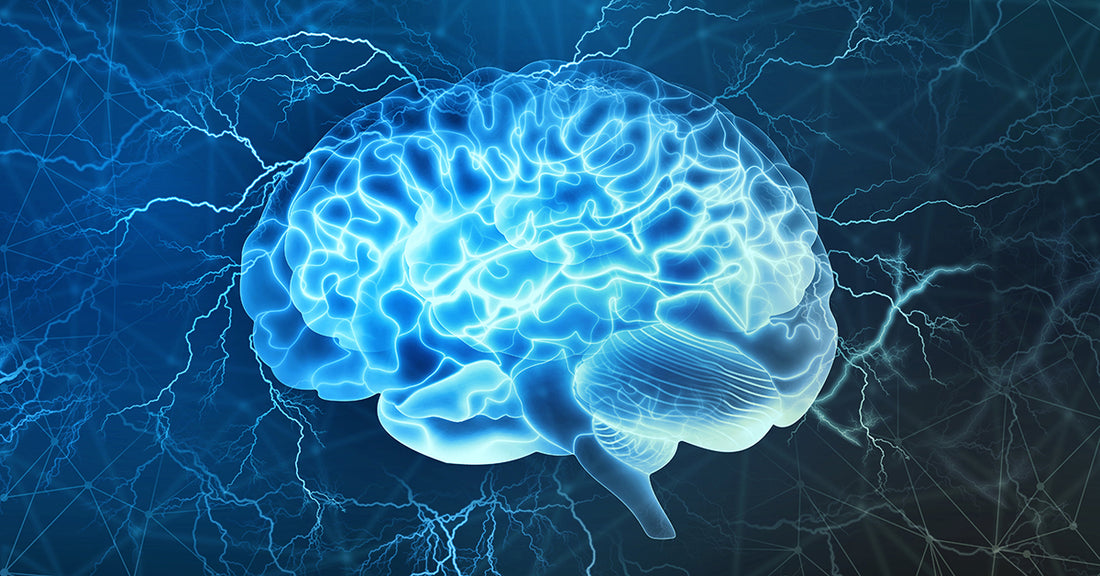 Discover the Best Neurology Books at JavedBooks.pk