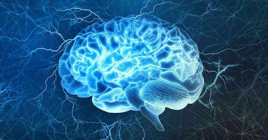 Discover the Best Neurology Books at JavedBooks.pk