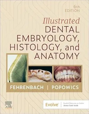 Illustrated Dental Embryology, Histology, and Anatomy 6th Edition Premium Multicolour Mate Print Javed Books