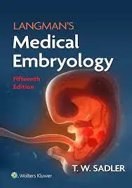 LANGMAN Medical Embryology 15th Edition My Store