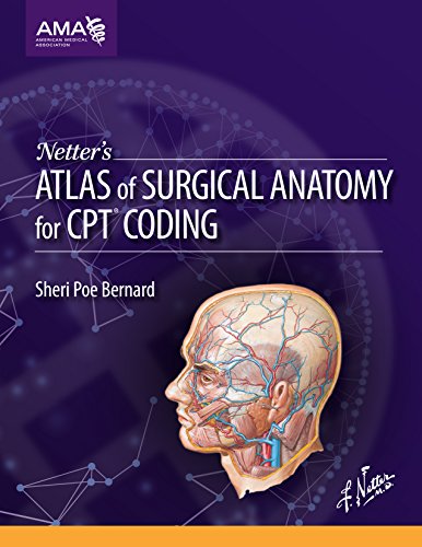 Netter's Atlas of Surgical Anatomy for CPT Coding Premium Multicolour Mate Print