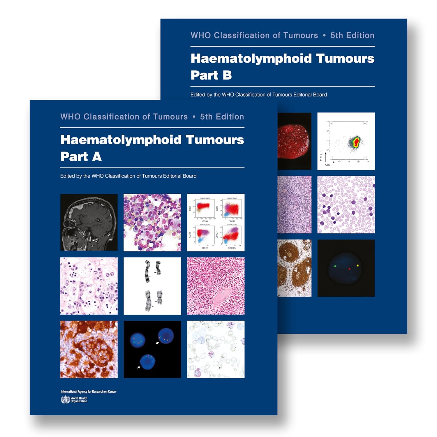 Haematolymphoid Tumours: Who Classification of Tumours 5th Edition Premium Multicolor Matte Print Javed Books