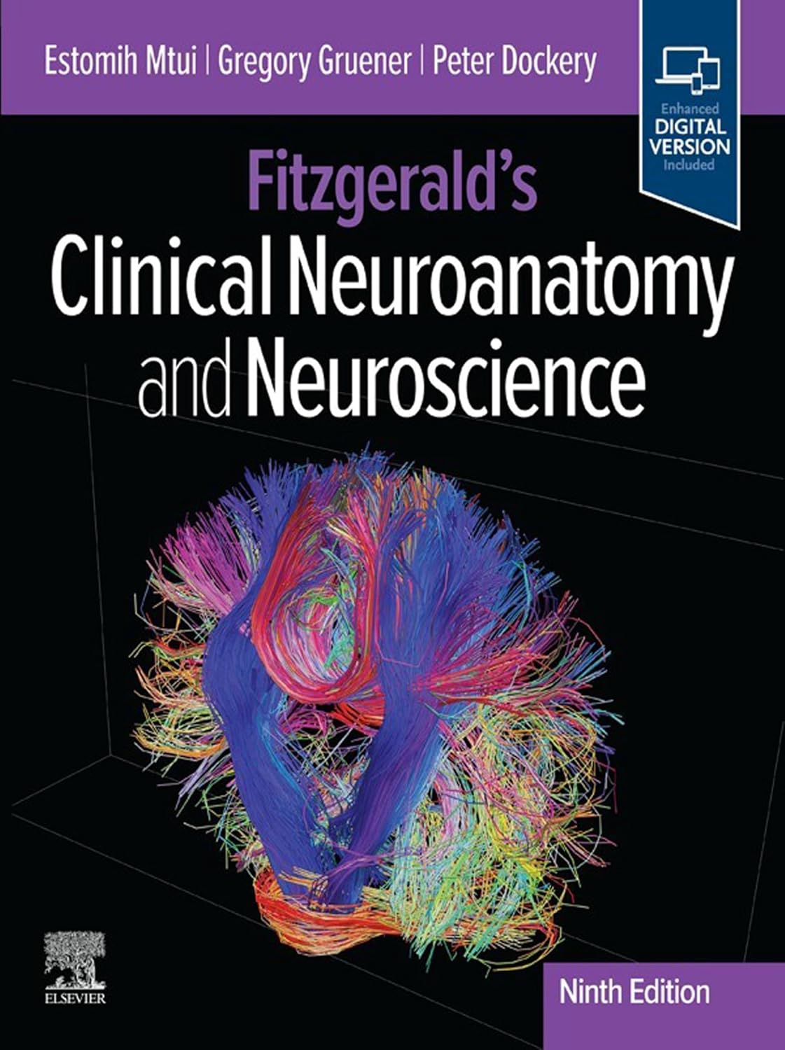 Fitzgerald's Clinical Neuroanatomy and Neuroscience 9th Edition 2026 Premium Multicolor Matte Print Javed Books