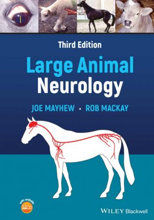 Large Animal Neurology