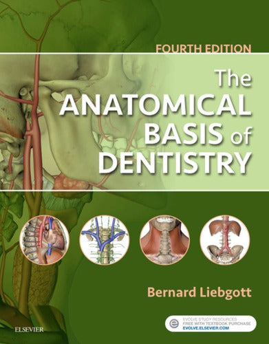 The Anatomical Basis of Dentistry