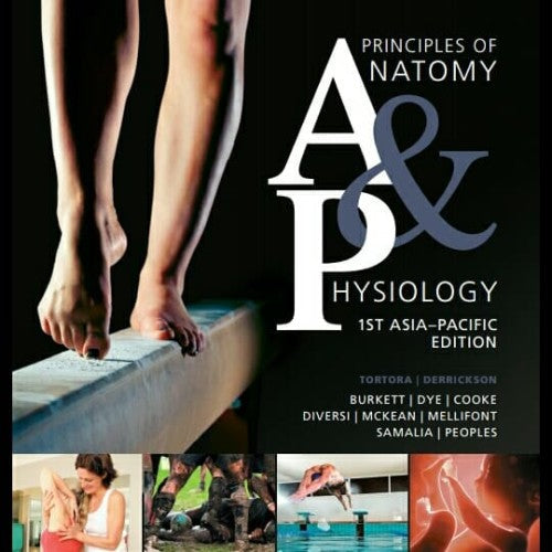 Principles of Anatomy & Physiology 1st asia pacific edition