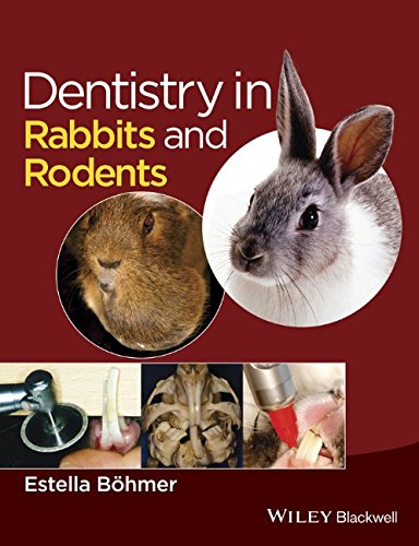 Dentistry in Rabbits and Rodents