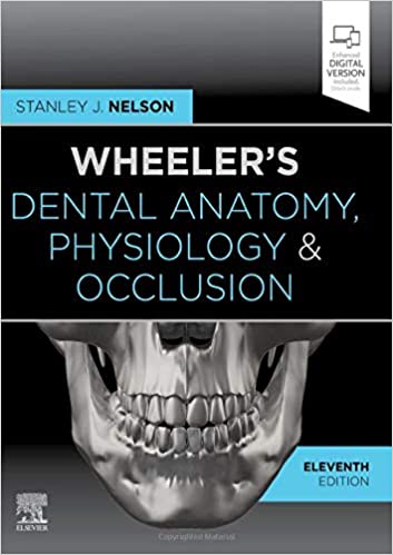 Wheeler 's Dental Anatomy Physiology & Occlusion