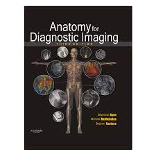 Anatomy For Diagnostic Imaging Premium Multicolour Mate Print