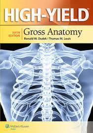 High Yield Gross Anatomy